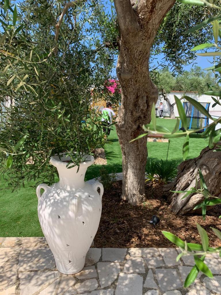 Tenuta Serena *