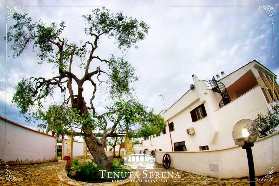Alojamento de Acomodação e Pequeno-almoço Tenuta Serena *
